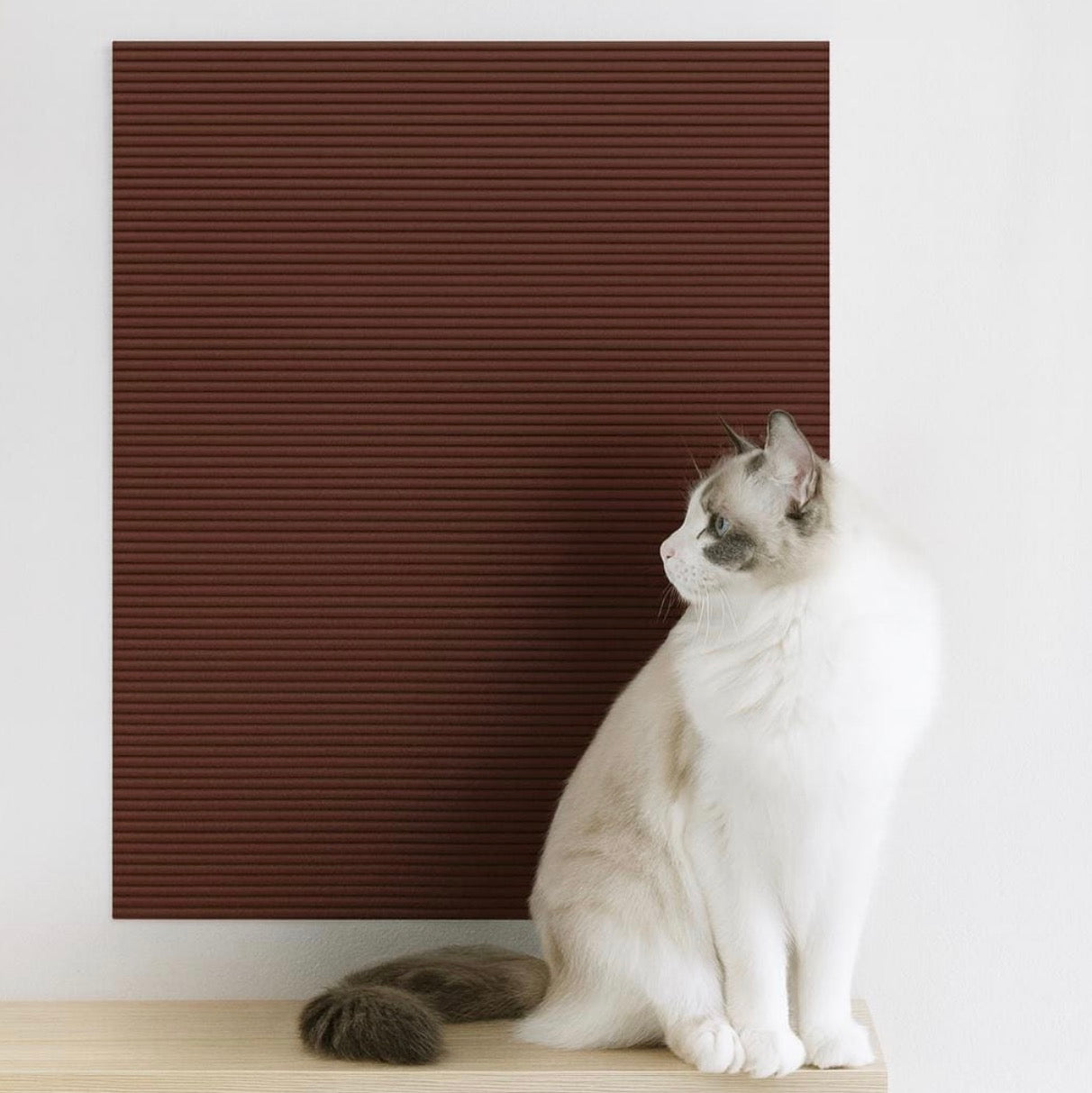 Anti Cat Scratch Mat Trimmable Self-Adhesive Carpet Mat Pad Cat Pet Scratcher Furniture Couch Corner Indoor Sofa Wall Protector SoraPets