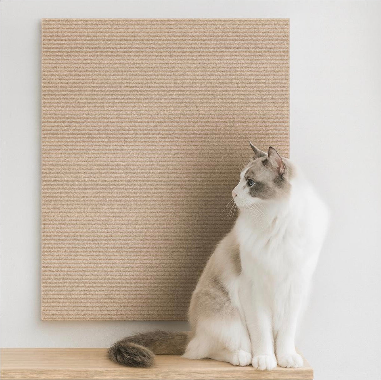 Anti Cat Scratch Mat Trimmable Self-Adhesive Carpet Mat Pad Cat Pet Scratcher Furniture Couch Corner Indoor Sofa Wall Protector SoraPets