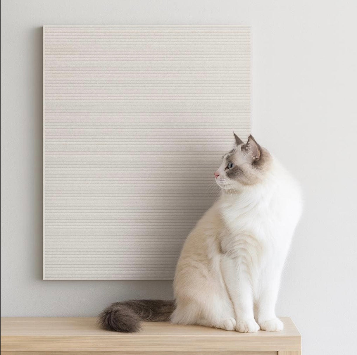 Anti Cat Scratch Mat Trimmable Self-Adhesive Carpet Mat Pad Cat Pet Scratcher Furniture Couch Corner Indoor Sofa Wall Protector SoraPets