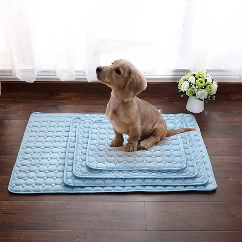 Tapis Rafraîchissant Respirant pour Chien - SoraPets