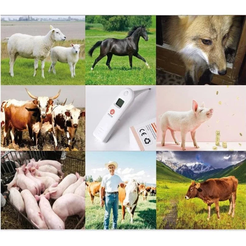 Thermomètre Vétérinaire Numérique pour Animaux - SoraPets