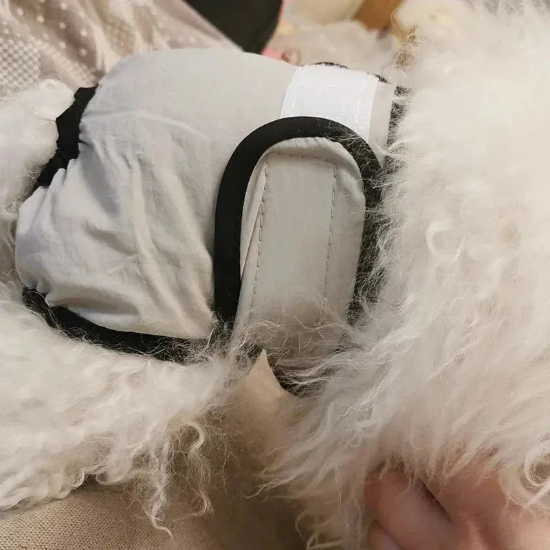 Couches Réutilisables pour Animaux - SoraPets