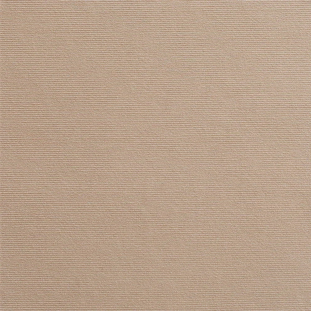 Anti Cat Scratch Mat Trimmable Self-Adhesive Carpet Mat Pad Cat Pet Scratcher Furniture Couch Corner Indoor Sofa Wall Protector SoraPets