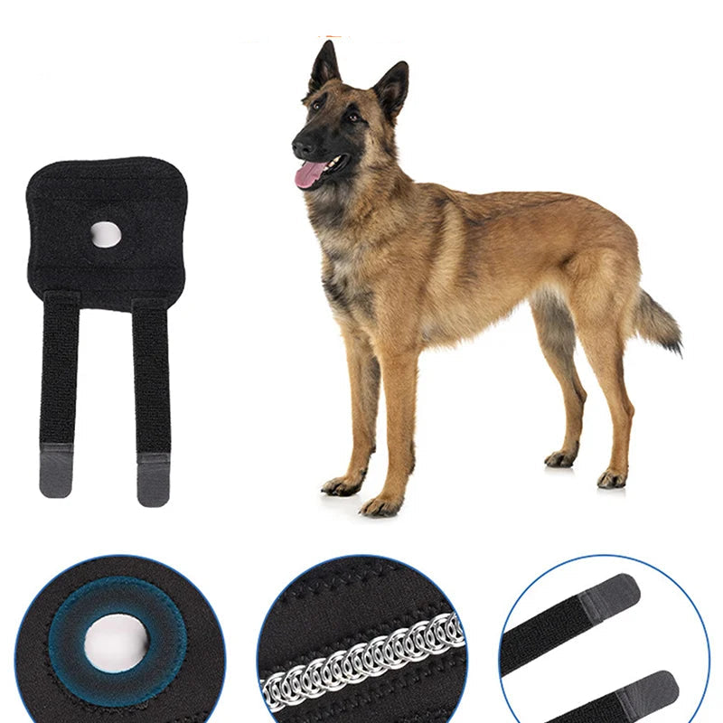 Genouillère de Soutien pour Chien - SoraPets